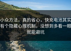小众方法，真的省心，快充电池其实有个隐藏心理机制，没想到多看一眼就能避坑